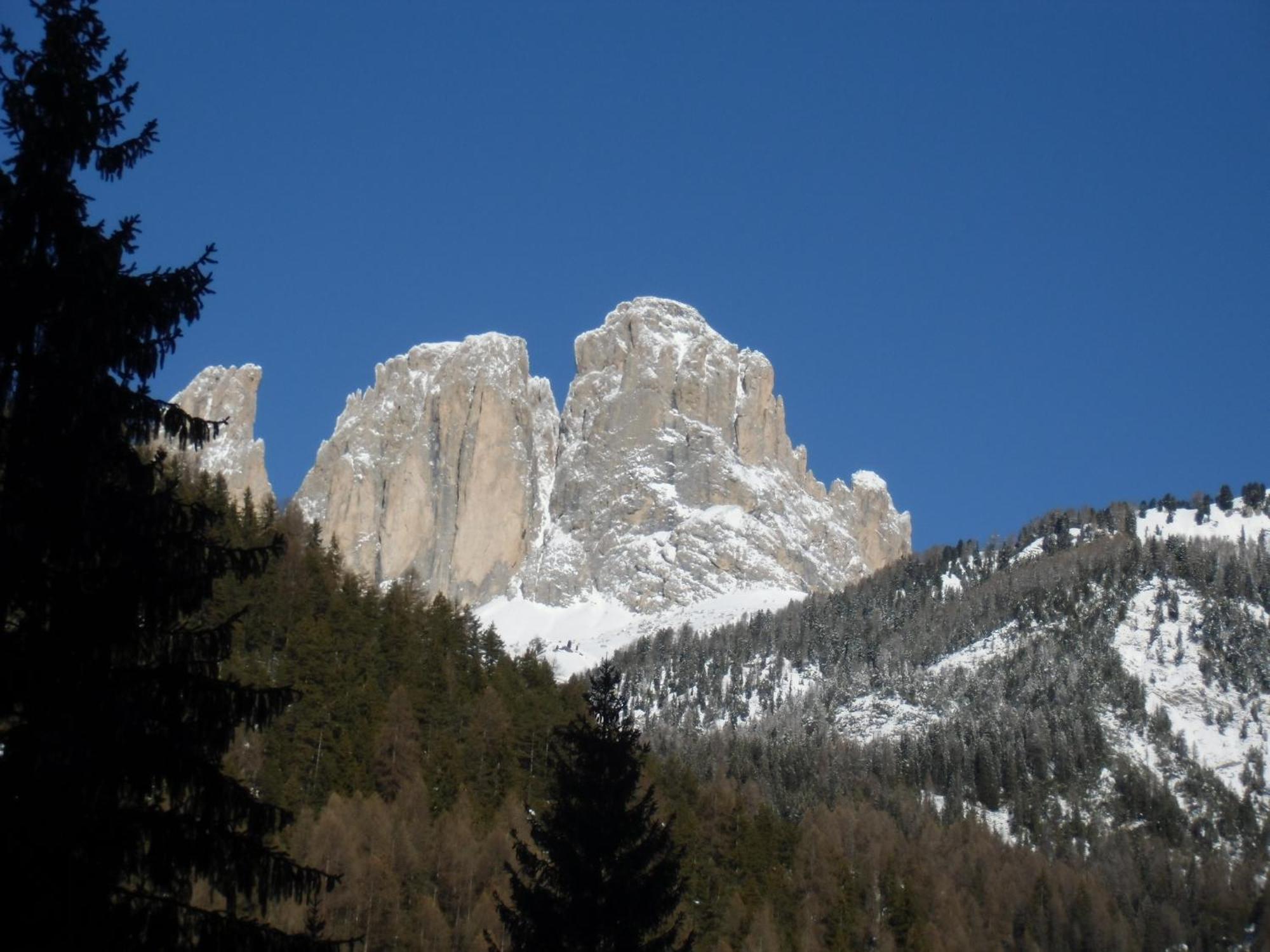 Hotel Garni Festil Campitello di Fassa Exteriér fotografie