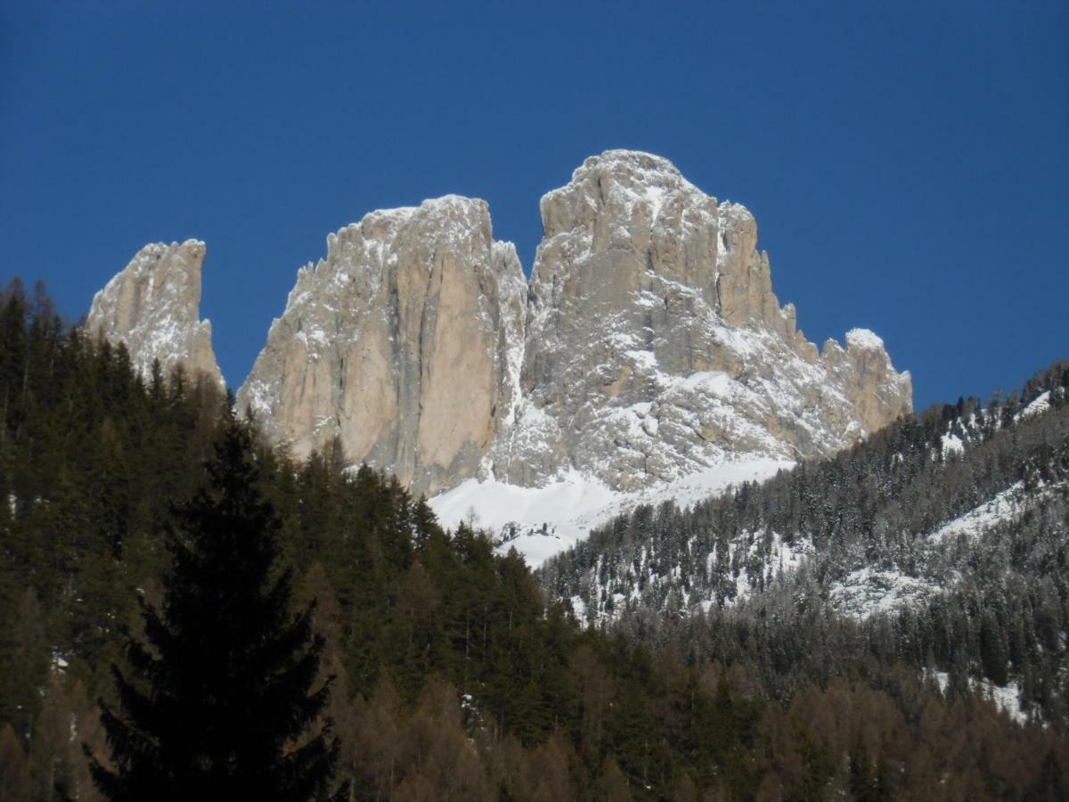 Hotel Garni Festil Campitello di Fassa Exteriér fotografie